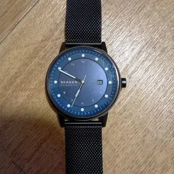 SKAGEN 블루 아날로그 시계 메쉬 밴드