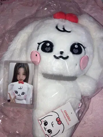 IVE MINIVE 원영 봉제 인형 트레이딩 카드