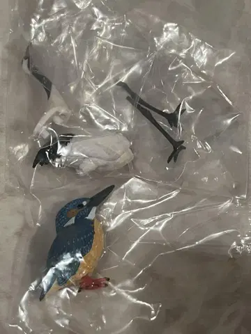 익명 배송 일본 생물 카와세미 탄쵸 네이처 테크니컬러