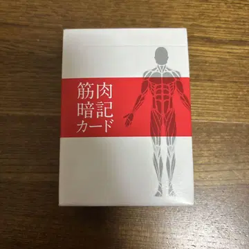 근육 암기 카드
