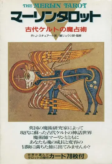 거울 류지 마린 타로 (카드 개봉) 1990년 초판