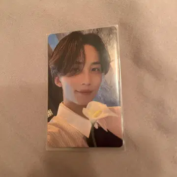 SEVENTEEN 세부치 정한 Dream 공연장 한정판