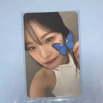 FROMIS_9 6번째 미니 앨범 혜택 카드 makestar 나비 지혼