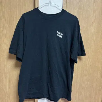 SANTACRUZ 산타크루즈 Delfino Flower Tee