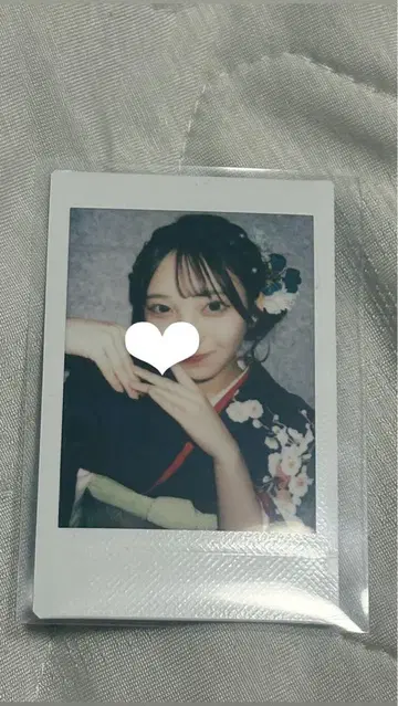 하나세 마이 폴라로이드