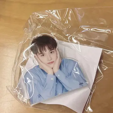 TREASURE 캡슐 토이 아크릴 클립 아사히