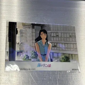 바다 소리가 들리는 방문객 한정판 엽서