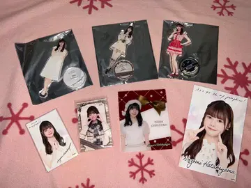 하타케야마 노조미 AKB48 아크릴 스탠드