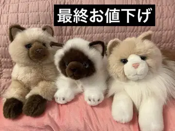 리얼한 고양이 봉제 인형 3개 세트 레어템 낱개 판매/가격 인하 불가