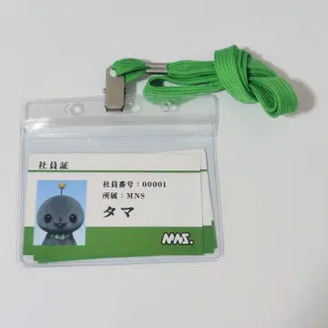 교육 방송 MNS 사원증