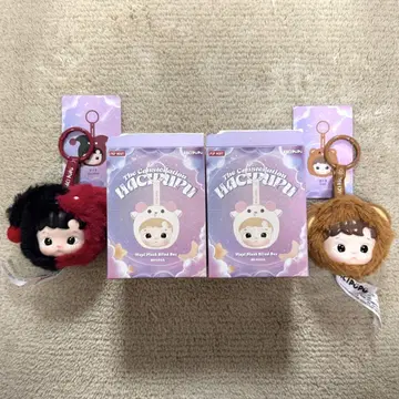 hachipupu 별자리 시리즈 세트