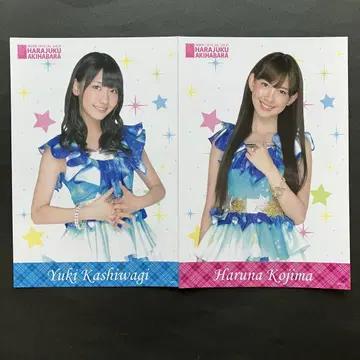카시와기 유키 코지마 요나 AKB48 엽서 검색) 브로마이드