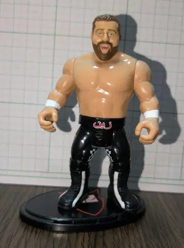 WWE 피규어 사미 제인