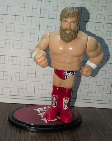 WWE 피규어 다니엘 브라이언