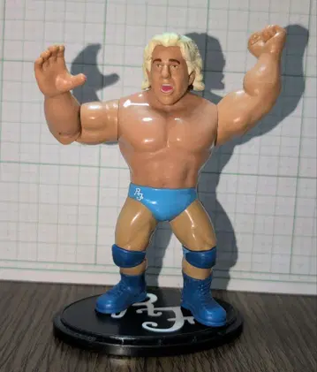 WWE 피규어 릭 플레어