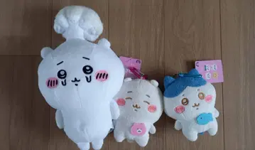 치이카와 세트