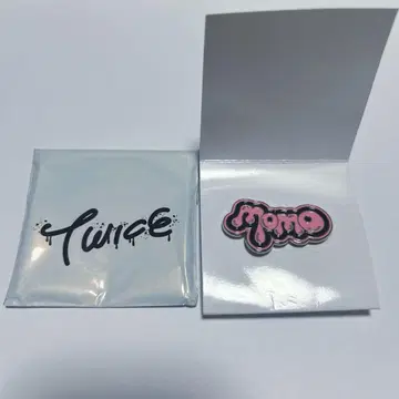 TWICE 랜덤 핀 배지 허벅지