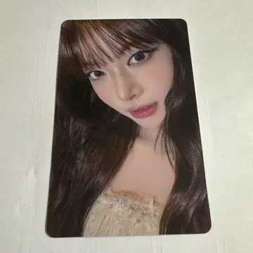 은체 회장에서 한정판 나고야 weverse 트레이딩 카드
