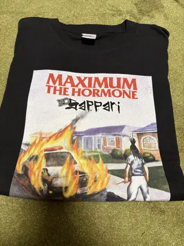 MAXIMUM THE HORMONE 티셔츠 2XL
