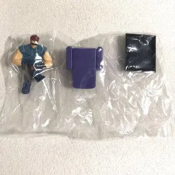 드래곤 아카이브스 메탈릭 중사