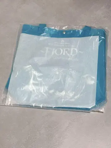 FJORD 클리어 토트백 Mrs. GREEN APPLE 10주년