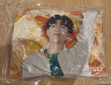 야기 유세이 쿠션