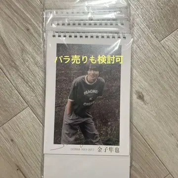 가네코 슈야 달력 2024 3권 세트