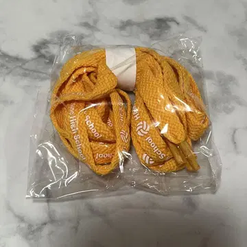 하이큐! 카라스노 고교 신발끈 신발끈 가챠