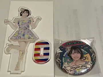 AKB48 사카가와 요카 다이마루 의상전 아크릴 스탠드, 배지 세트