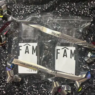 [은색 테이프 포함] FAM timelesz 응원봉 2개 세트