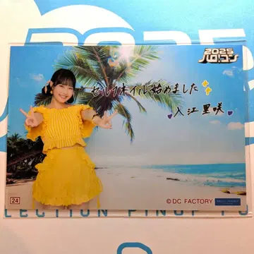 이리에 리사 코레샤 하로콘 2025 Juice=Juice