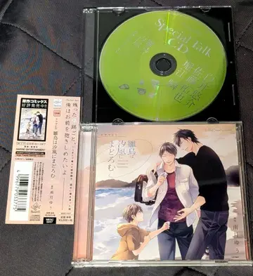 새끼 새들이 바닷바람에 졸고 있다 드라마 CD