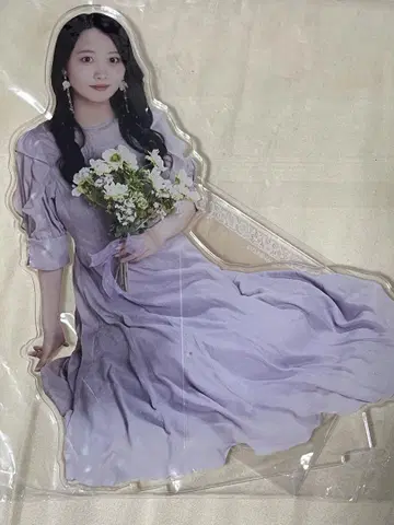 노기 메쿠리, S상 야쿠보 BIG 아크릴