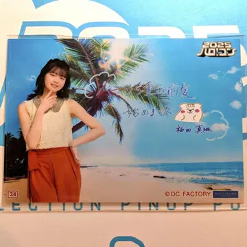 후쿠다 마린 코레샤 하로콘 2025 츠바키 팩토리