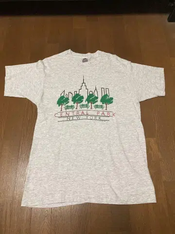 빈티지 프룻 오브 더 룸 90s 싱글 스티치 뉴욕 USA