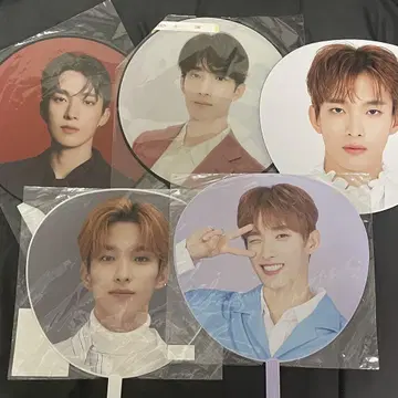 세븐틴 도겸 부채 정리