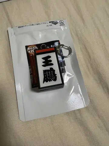 전광판풍 시코 이름 키링 오오토