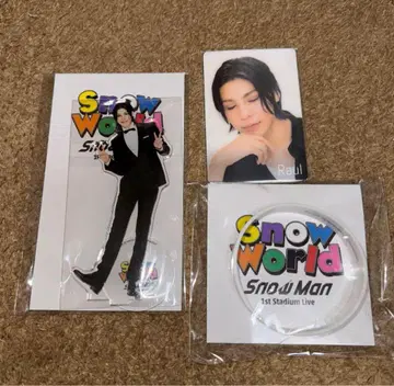 Snow Man 아크릴 스탠드 라울 Snow Word