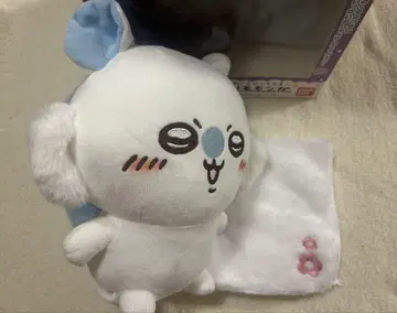 수다쟁이 모몽가