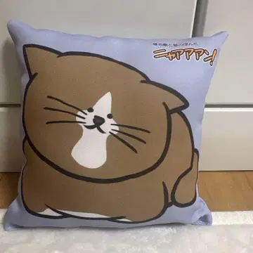 고양이 폰타 미니 쿠션 / 코노이케 고와 고양이 폰타 냐앙!