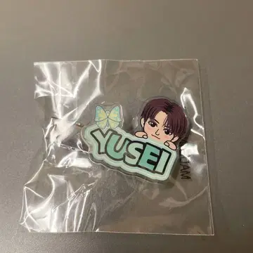 YUSEI 아크릴 키링 헤어핀