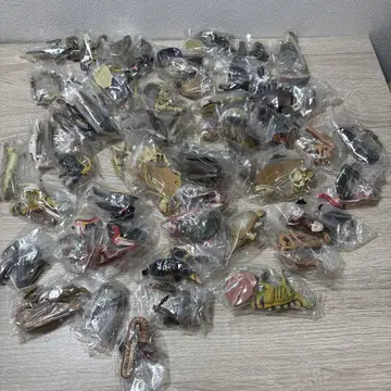 공룡 피규어 가챠 카이요도 고대 물고기 화석