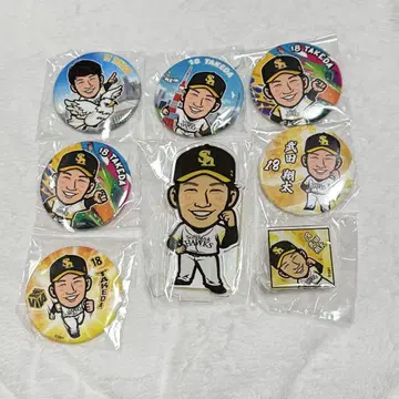 와카타카 가챠 타케다 쇼타