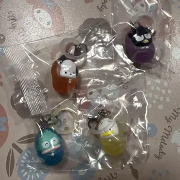 산리오 메지루시 액세서리 솔로 캠핑 하피단부이