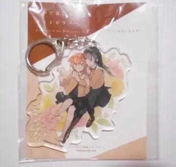 결국 너가 될 화집 아스트롤라베 아크릴 키링