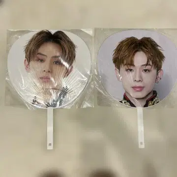 야마시타 에이쿠 에비라이 부채