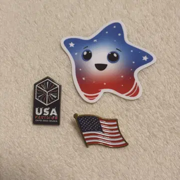 USA Pavilion 핀 배지 세트
