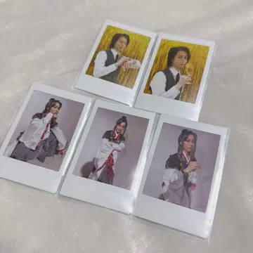 쿠가 쿄헤이 샨타테 카미시바이 폴라로이드