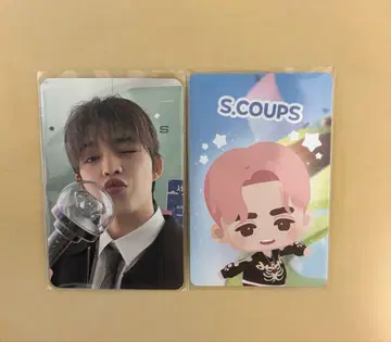 seventeen 캐럿 존 carat zone 에스크