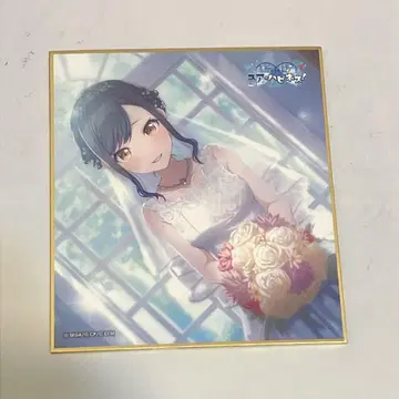 프로세카 시로이시 안 색지 준 브라